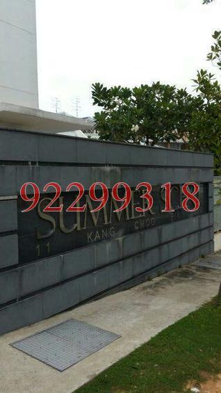 Summer Scent (D19), Apartment #176777542